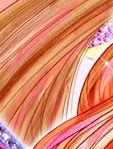 魔法俏佳人第8季 英文版