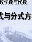 初中数学数与代数—分式与分式方程