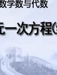 初中数学数与代数—二元一次方程（组）