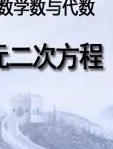 初中数学数与代数—一元二次方程